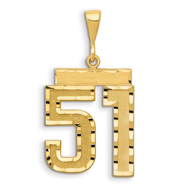 14k Small Brushed Diamond-cut Number 51 Charm SN51