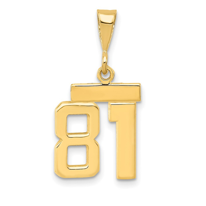 14k Small Polished Number 81 Charm SP81