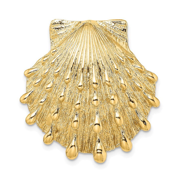 14K Lion's Paw Shell Slide SL604