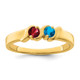 14k Synthetic Family Jewelry Ring XMR11/2SY