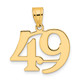 14k Polished Number 49 Pendant APN49