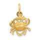 14k Satin Diamond-cut Cancer Zodiac Charm C479