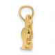 14k Solid Polished 3-Dimensional Mallard Charm C2553