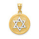 14k Two-tone Solid Satin Finish Flat Back Star of David Disc Charm D40