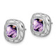 Sterling Silver Rhodium-plated Amethyst Earrings EM7077-AM-SS