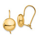 14k Polished 10.5mm Button Kidney Wire Earrings H1034