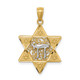 14k Two-tone Gold Polished Star of David w/Chai Pendant K5707
