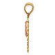 14k Two-tone 15 Guadalupe Pendant K4715
