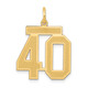 14k Medium Satin Number 40 Charm LSM40