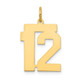 14k Medium Polished Number 12 Charm LM12