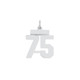Sterling Silver/Rhodium-plated Polished Number 75 Charm QSS75