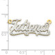 10k Yellow Gold and Rhodium 3D Diamond Name Plate 10XNA44