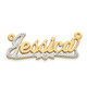10k Yellow Gold and Rhodium 3D Diamond Name Plate 10XNA52