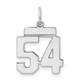 Sterling Silver/Rhodium-plated Polished Number 54 Charm QSS54