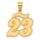 14k Brushed Border Script Number 23 Pendant SCN23