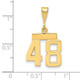 14k Small Polished Number 48 Charm SP48