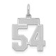 Sterling Silver/Rhodium-plated Satin Number 54 Charm QPS54