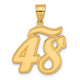 14k Brushed Border Script Number 48 Pendant SCN48