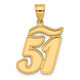 14k Brushed Border Script Number 51 Pendant SCN51
