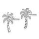 14k White Gold Palm Tree Post Earrings TM774W