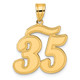 14k Brushed Border Script Number 35 Pendant SCN35