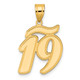 14k Brushed Border Script Number 19 Pendant SCN19