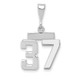 14kw Small Polished Number 37 Charm WSP37