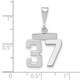 14kw Small Polished Number 37 Charm WSP37