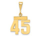 14k Small Polished Number 45 Charm SP45