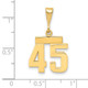 14k Small Polished Number 45 Charm SP45