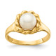 14K 6-7mm White Button Freshwater Cultured Pearl Ring Y13941PL
