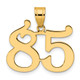14k Polished Number 85 Pendant APN85