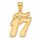 14k Brushed Border Script Number 17 Pendant SCN17