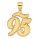 14k Brushed Border Script Number 95 Pendant SCN95