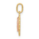 14k Two-tone Guadalupe Pendant XR1252
