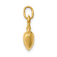 14k Apple Charm C3203