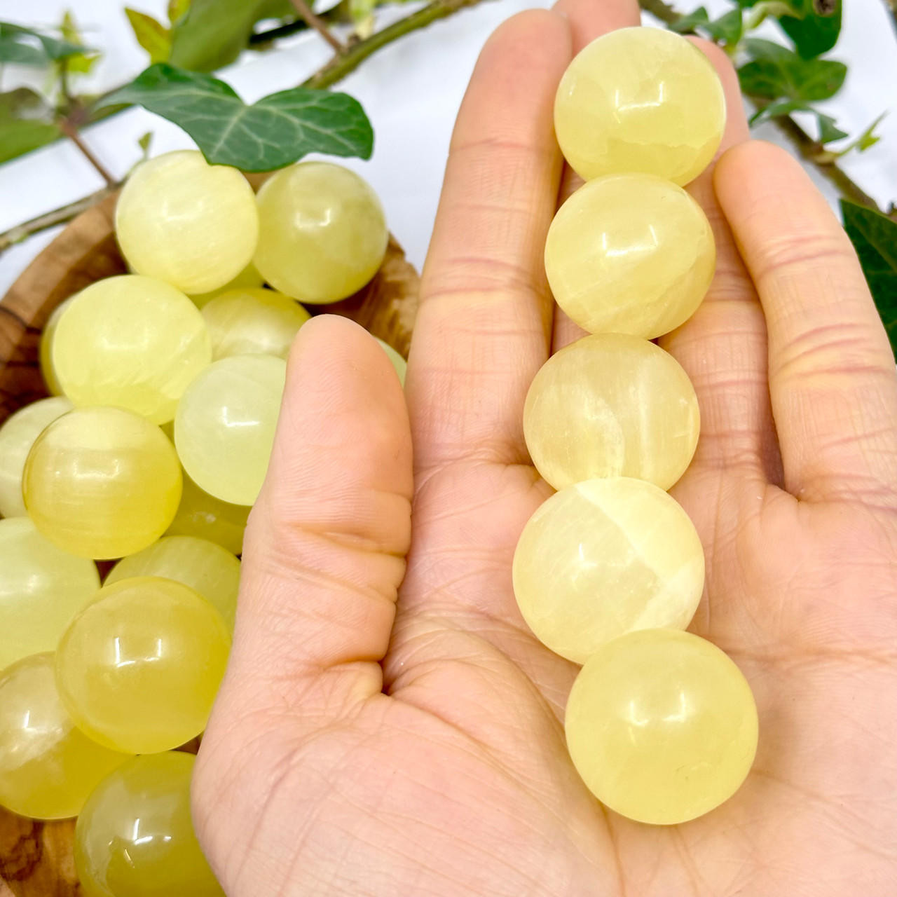 POC ポック Know ノウ - Lemon Calcite Translucent サングラス POC know POC サングラス POC ポック Know ノウ - Lemon