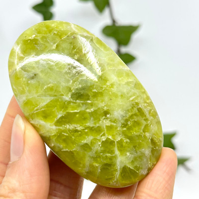 Shah Maghsood Palm Stone- 12451 Shah Maghsood Palm Stone- 12451