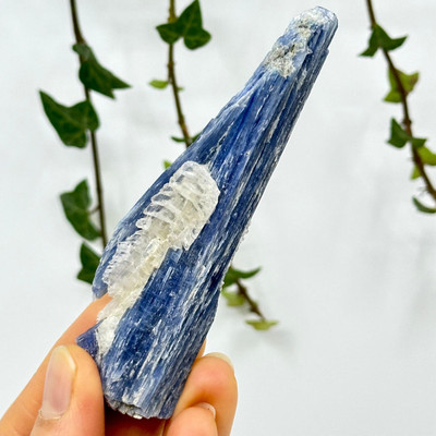 Blue Kyanite Cluster from Brazil-13220