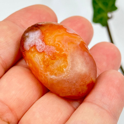 Gobi Desert Agate from Mongolia-13269