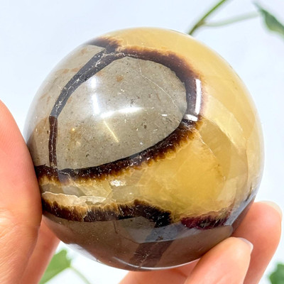 Septerian Sphere- 13372