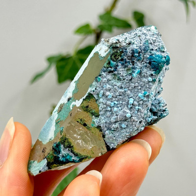 Chrysocolla in Quartz from Peru- 13478