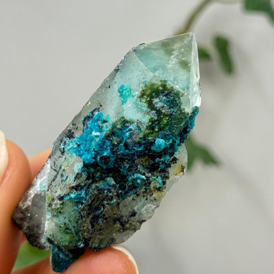 Chrysocolla in Quartz from Peru- 13481
