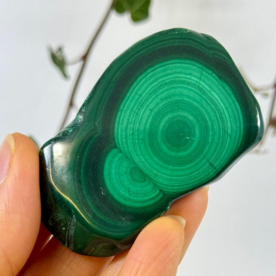 Polished Malachite Slice- 13651 Polished Malachite Slice- 13651