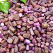 Natural Ruby Crystals from Madagascar- 12153