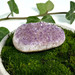 Amethyst Palm Stone-12540