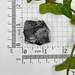 Elite Shungite from Russia- 12599