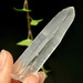 Lemurian Seed Quartz Crystal from Brazil- 12987