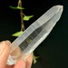 Lemurian Seed Quartz Crystal from Brazil- 12987