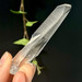Lemurian Seed Quartz Crystal from Brazil- 12988